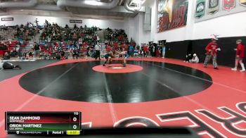 113 lbs 9th Place Match - Sean Dammond, Northfield vs Orion Martinez, Las Animas