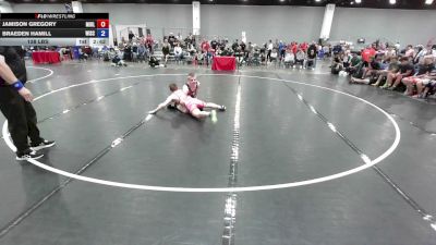 138 lbs Jamison Gregory, Team Michigan - Blue vs Braeden Hamill, Wisconsin