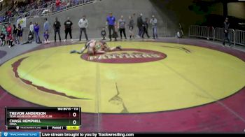 113 lbs Quarterfinal - Trevor Anderson, Team Aggression Wrestling Club vs Chase Hemphill, COWA