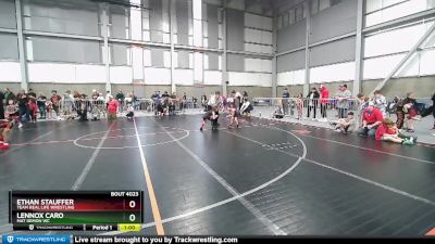 48-49 lbs Round 1 - Ethan Stauffer, Team Real Life Wrestling vs Lennox Caro, Mat Demon WC