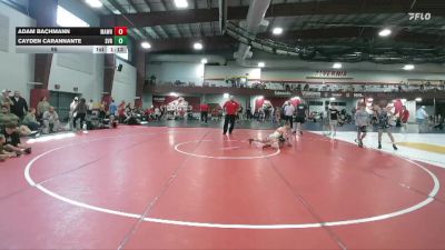 95 lbs Finals (2 Team) - Adam Bachmann, Mat Assassins White vs Cayden Carannante, Steel Valley Renegades