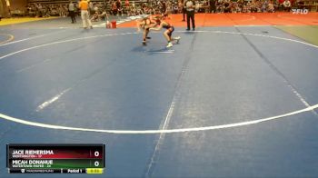 88 lbs Quarterfinals (8 Team) - Jace Riemersma, Worthington vs Micah Donahue, Watertown-Mayer