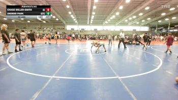 85 lbs Quarterfinal - Chase Miller-Smith, Ohio Gold vs Anders Park, Team Gotcha National