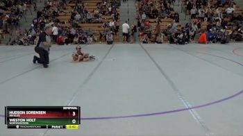 45 lbs Semifinal - Weston Holt, Northwestern vs Hudson Sorensen, MN Elite