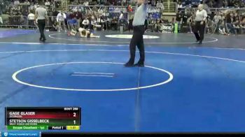 113 lbs Semifinal - Gage Glaser, Dickinson vs Stetson Gisselbeck, West Fargo Sheyenne