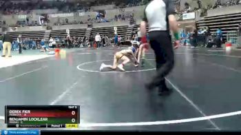 65 lbs Quarterfinals (8 Team) - Derek Fier, Minneota vs Benjamin Locklear, Roseau