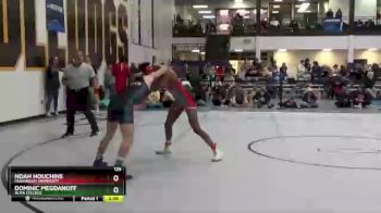 125 lbs Cons. Round 1 - Noah Houchins, Muskingum University vs Dominic Megdanoff, Alma College