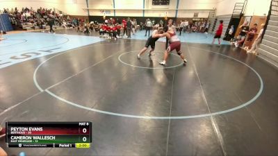 285 lbs Round 3 (10 Team) - Peyton Evans, Berthoud vs Cameron Wallesch, East Renegade