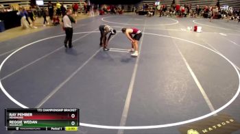172 Championship Bracket Champ. Round 2 - Reggie Wedan, Woodbury vs Ray Pember, Menomonie