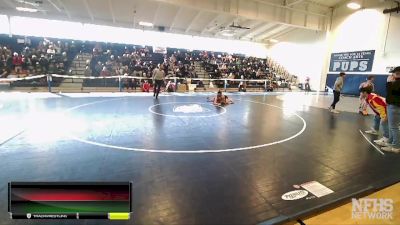 113 lbs Quarterfinal - Damian Lang, Newport (Bellevue) vs Cyler Fee, Eastlake