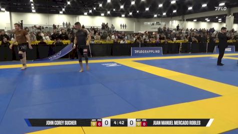 Juan Manuel Mercado Robles vs John Corey Sucher 2025 World IBJJF Jiu-Jitsu No-Gi Championship