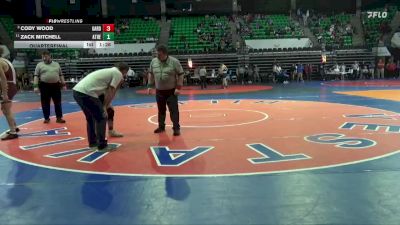 6A 157 lbs Quarterfinal - Cody Wood, Gardendale Hs vs Zack Mitchell, Athens