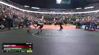 113 lbs Quarterfinal - Dempsey Gibbs, Alamosa vs Donovan Birmingham, Fort Lupton