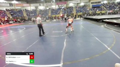 89 lbs Consi Of 8 #2 - Avery Whitaker, Adams City WC vs Nicholas Cantu, SLV Elite WC