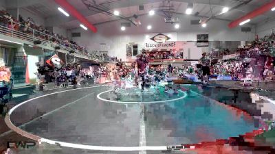 110 lbs Quarterfinal - Maverick Stewart, Warner Eagles Youth Wrestling vs Krew Schuetz, Roland Youth League Wrestling