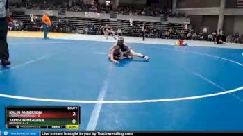 95 lbs Semis (4 Team) - Jamison Meagher, Paynesville vs Kalin Anderson, Kasson-Mantorville