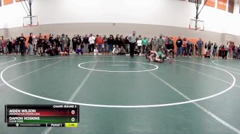 138 lbs Champ. Round 2 - Damon Hoskins, Clear Fork vs Aiden Wilson, Washington (Massillon)