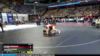 195 lbs Quarterfinal - Zander Brinegar, Oak Grove vs Tanner Nappier, Helias Catholic