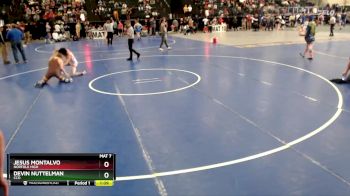 132 lbs Semifinal - Devin Nuttelman, CCO vs Jesus Montalvo, Norfolk High