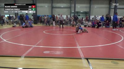 95 lbs Consolation - Blake Andres, Accident vs Christian Piselli, Cogan Station