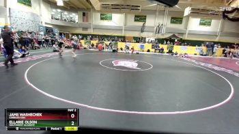 91 lbs Round 3 - Ellarie Olson, Southwest Academy vs Jamii Washechek, Cobbler Kids