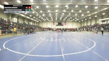 149 lbs 3rd Place Match - Vincenzo Napolitana, NYU vs Brandon Ribeiro, Ithaca