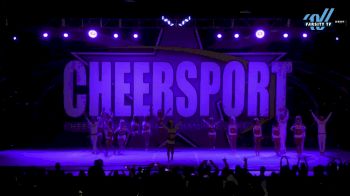 Steele Athletics - Denver - Titanium [2025 L4 Senior Open Coed Day 2] 2025 CHEERSPORT National All Star Cheerleading Championship