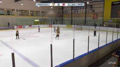 Replay: Home - 2024 Pittsburgh Pens vs Fairfield Jr Rangers | Dec 1 @ 4 PM