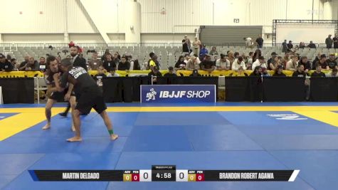 Brandon Robert Agawa vs Martin Delgado 2025 World IBJJF Jiu-Jitsu No-Gi Championship