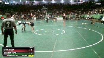 113 lbs Quarterfinal - Cole Freese, Franklin County vs Brayden Head, Westfield