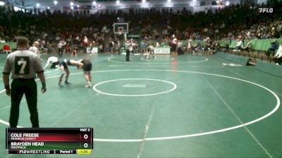 113 lbs Quarterfinal - Cole Freese, Franklin County vs Brayden Head, Westfield