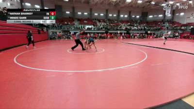 132 lbs Cons. Round 3 - Renzo Gann, Northwest Eaton vs Nathan Sharkey, Lewisville Flower Mound