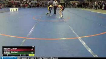 106 lbs Champ. Round 1 - Kellan Larson, Williston vs Carlos Salinas, Fargo North