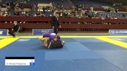 Joseph B Bujold vs Sean Michael Fitzpatrick 2024 Pan IBJJF Jiu-Jitsu No-Gi Championship