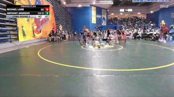 132 lbs Cons. Round 3 - Michael Lamb, Haddonfield High Schol vs Anthony Andrews, Sussex Tech