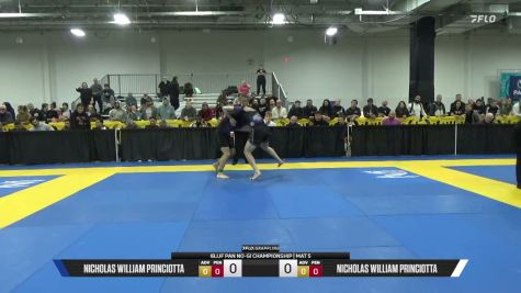 Michael Vincent Dagostino vs Nicholas William Princiotta 2026 Pan IBJJF Jiu-Jitsu No-Gi Championship