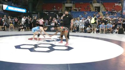 95 lbs Semis - Lillee Denson, MI vs Zoey Haney, MO