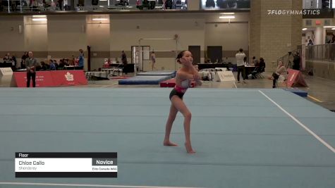 Chloe Callo - Floor, Shenderey