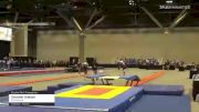 Chandler Graham - Double Mini Trampoline, All American - 2021 USA Gymnastics Championships