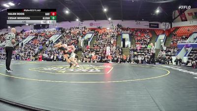 132 lbs Quarterfinals (8 Team) - Cesar Mendoza, Allegan HS vs Halen Boos, Hart HS