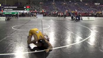 125 lbs Semis (4 Team) - Jacob Fitzpatrick, Minnesota State vs Luke Acuna, Ashland