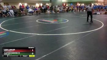 113 lbs Round 5 (6 Team) - Liam Lawler, Nauman Blue vs Clifton Bakhsh IV, Delaware