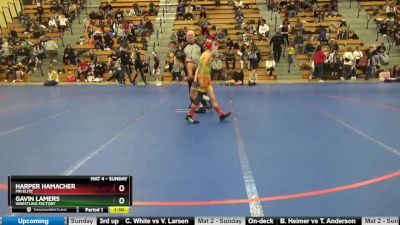 95 lbs Round 4 - Harper Hamacher, MN Elite vs Gavin Lamers, Wrestling Factory