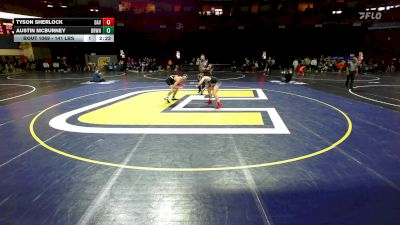 141 lbs Round Of 32 - Tyson Sherlock, Davidson vs Austin McBurney, Brown