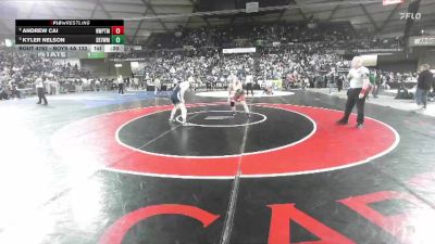 Boys 4A 132 lbs Cons. Round 5 - Andrew Cai, Newport (Bellevue) vs Kyler Nelson, Skyview