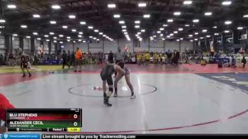 96 lbs Round 2 - Alexander Cecil, Team Michigan vs Blu Stephens, VA Hammers