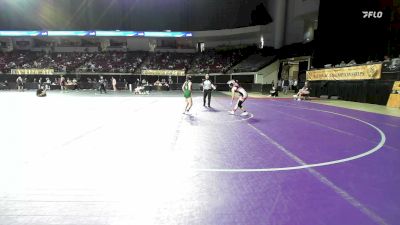 103 lbs Consi Of 8 #1 - Aidalish Cruz, Springfield Technical CC vs Caley Kling, Colorado State