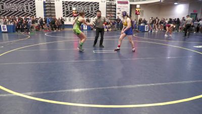 135 lbs Consy 7 - Caelan McElroy, Chestnut Ridge vs Reese Montgomery, Cumberland Valley