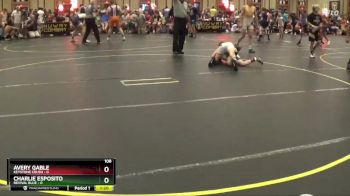108 lbs Round 3 (6 Team) - Charlie Esposito, Revival Blue vs AVERY GABLE, Keystone Crush