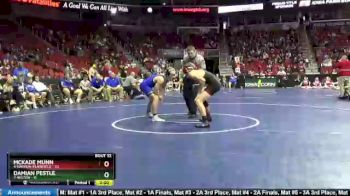 152 lbs 5th & 7th Place - McKade Munn, 4-Nashua-Plainfield vs Damian Pestle, 7-Wilton